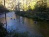 Kayaking the River 1